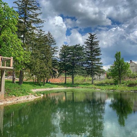 Bed and Breakfast Bed&Breakfast Radgost, spiritual wellness Rtanj Zewnętrze zdjęcie